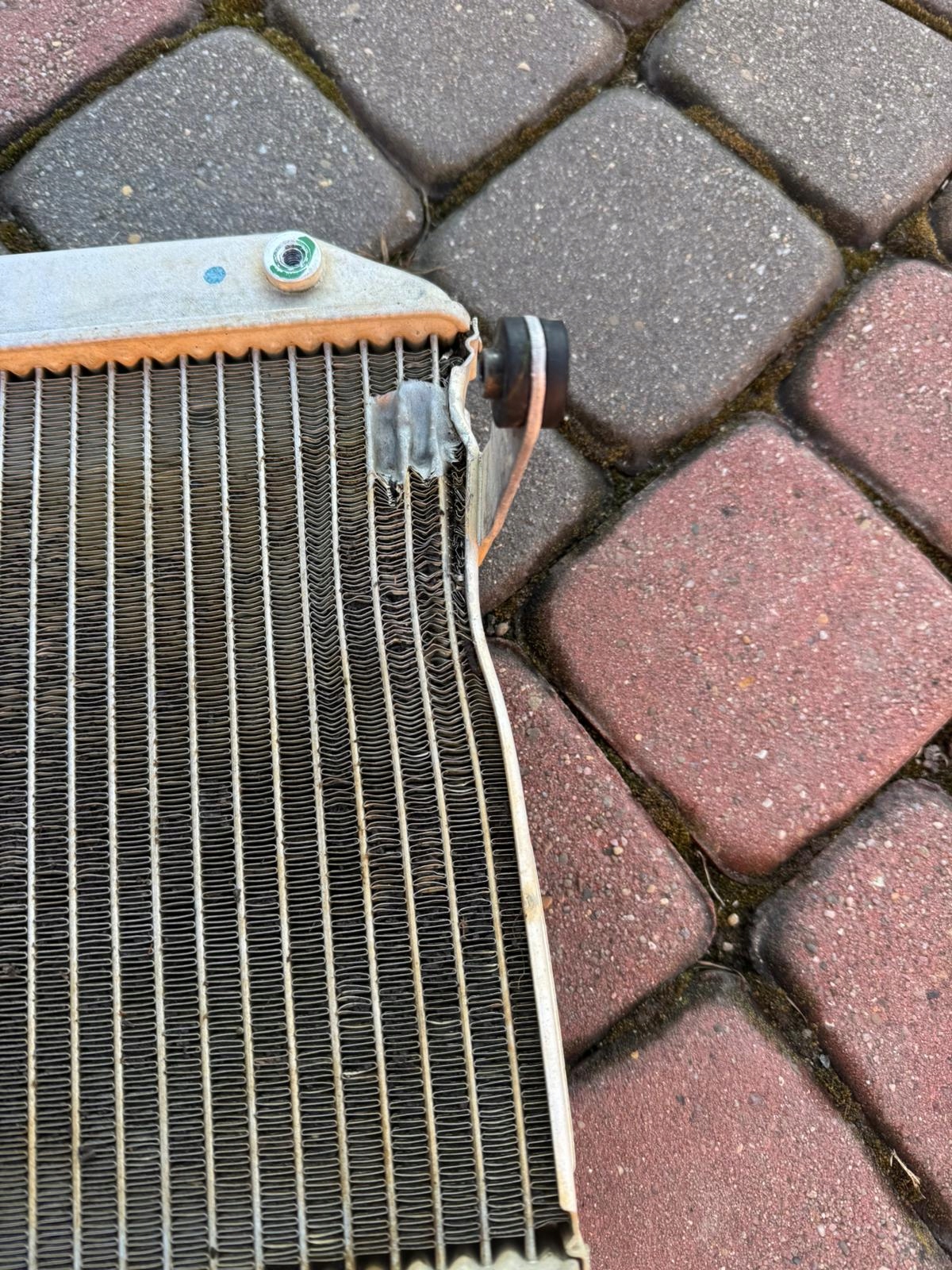ALT
