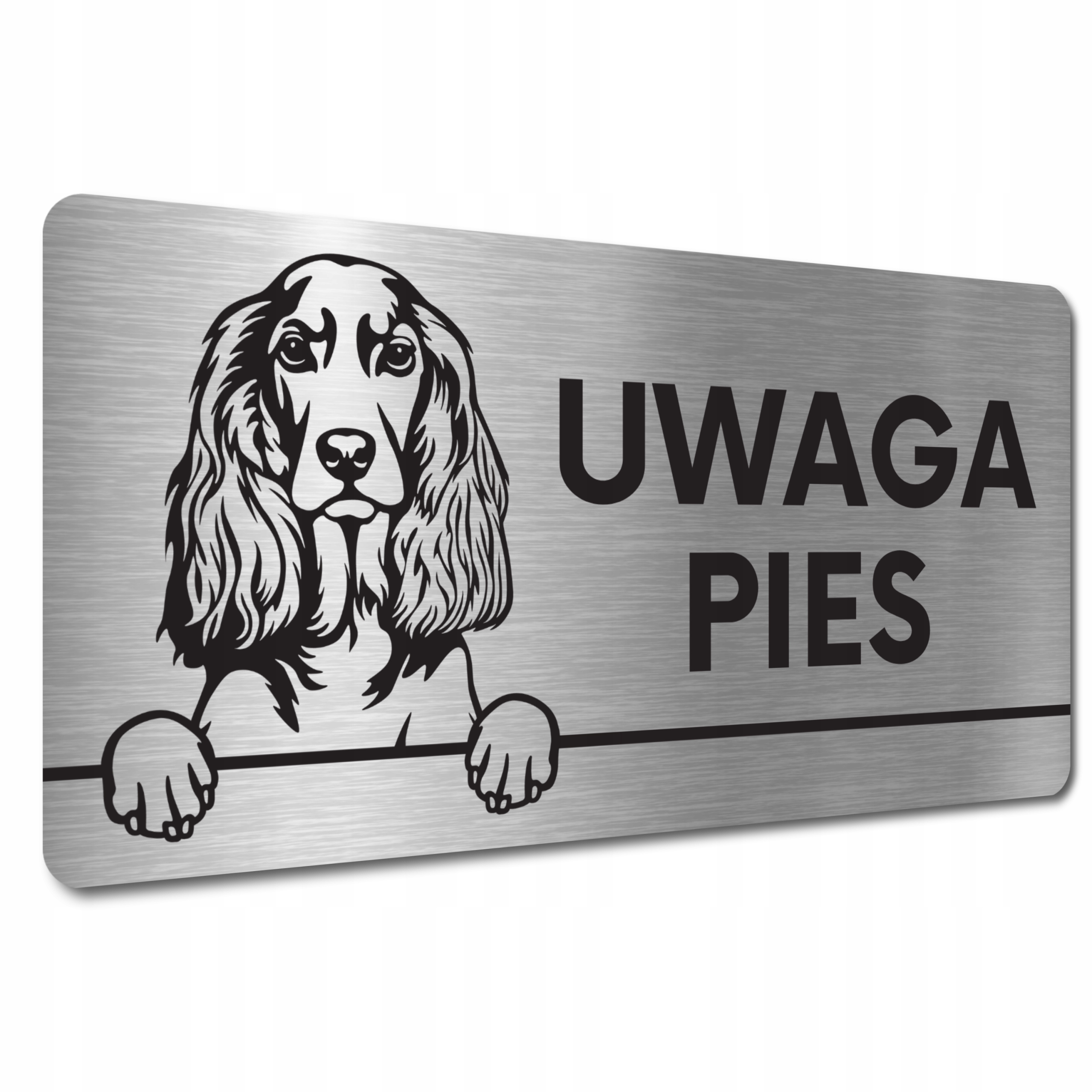 

Tabliczka Uwaga Pies Zły Cocker spaniel angielski