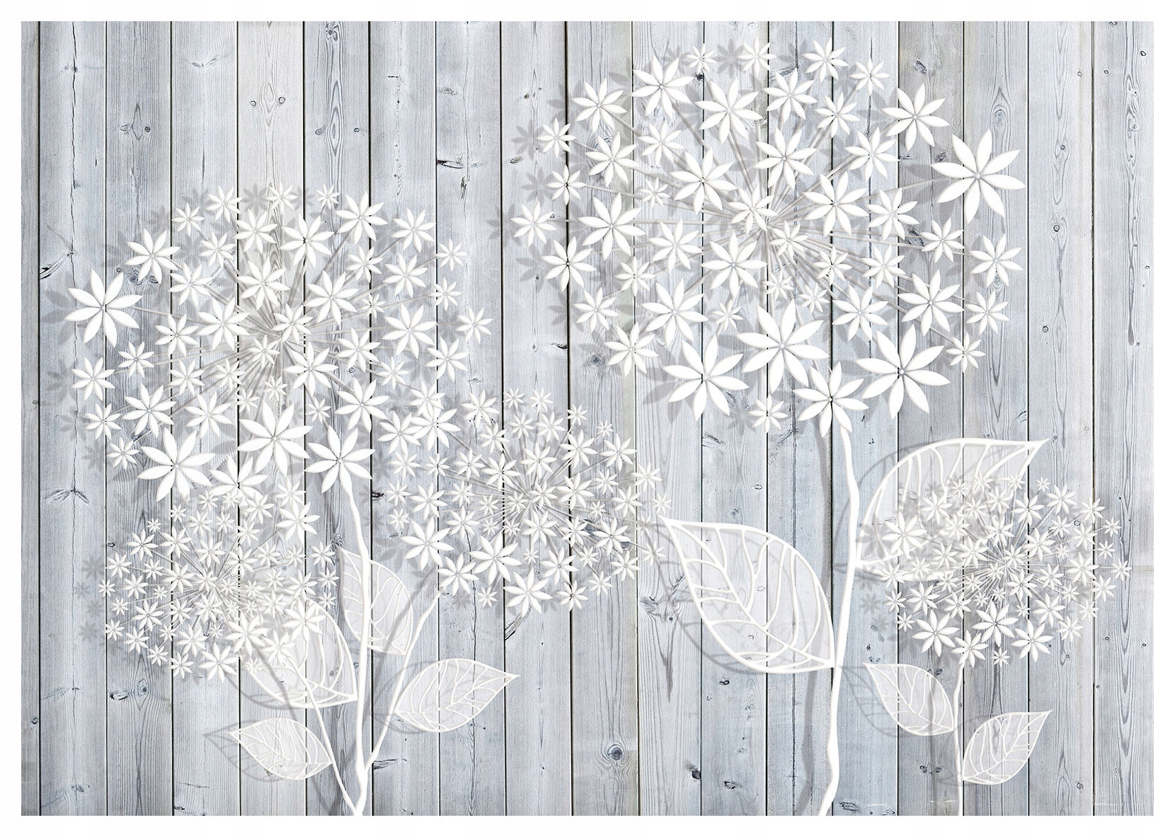 Fototapeta Biele dúchadlá na dreve Šedé vinylové dosky 368x254 lepidlo