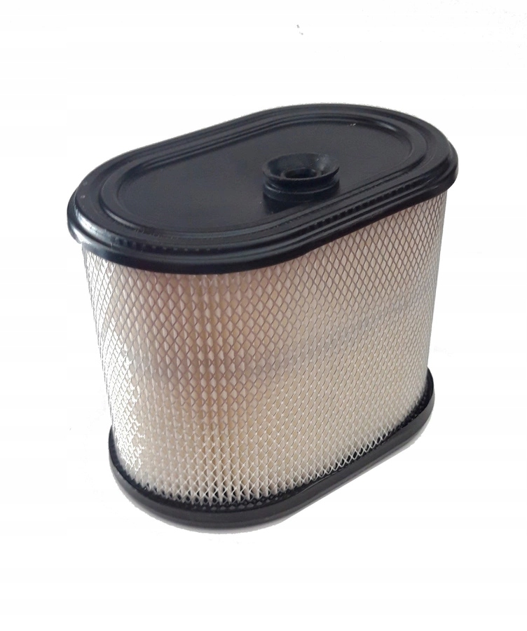 Originální filtr Briggs & Stratton Intek 1650 (695302)