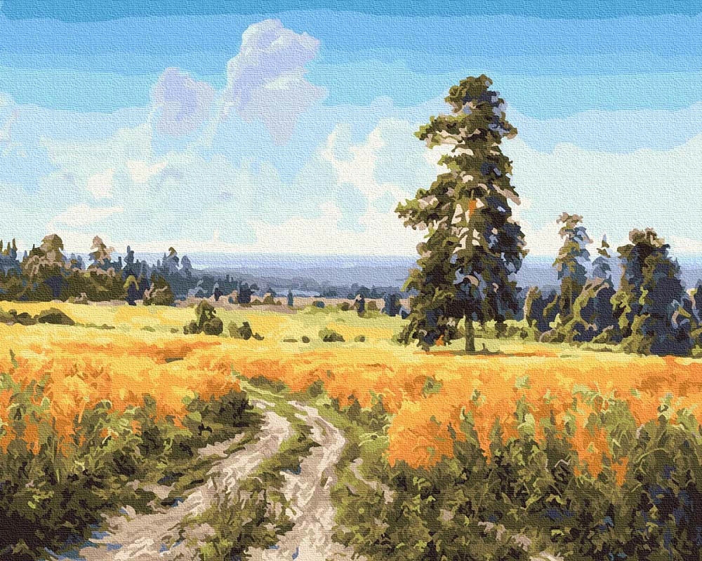 Malování podle čísel iPicasso 50x65 cm na rámu