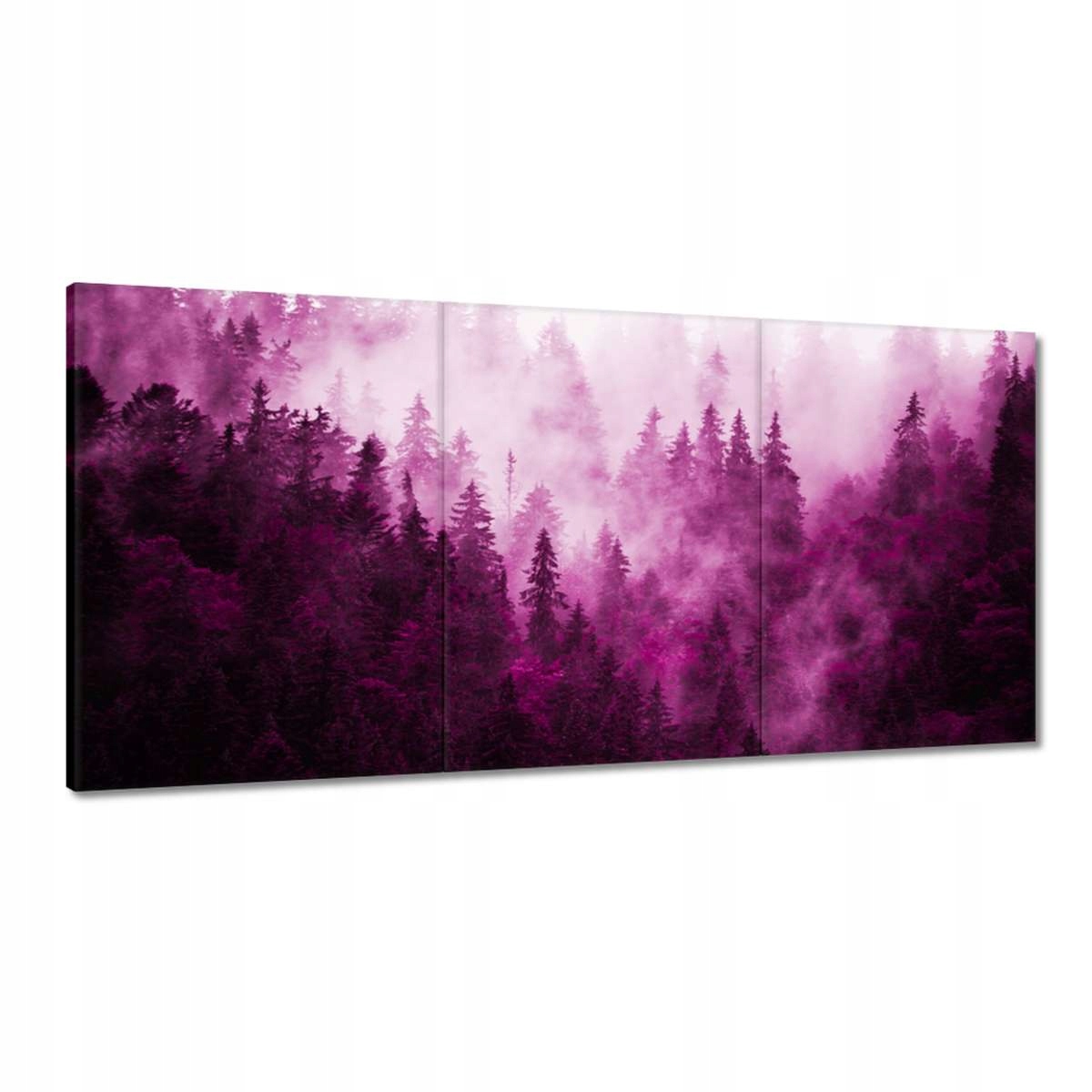 Obrazy 180x90 Krajina ruží Hory Hmla