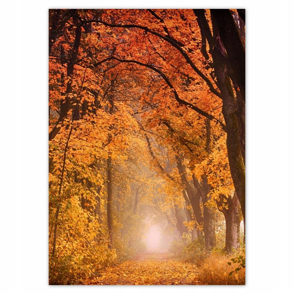 

Naklejki 50x70 Jesienny widok