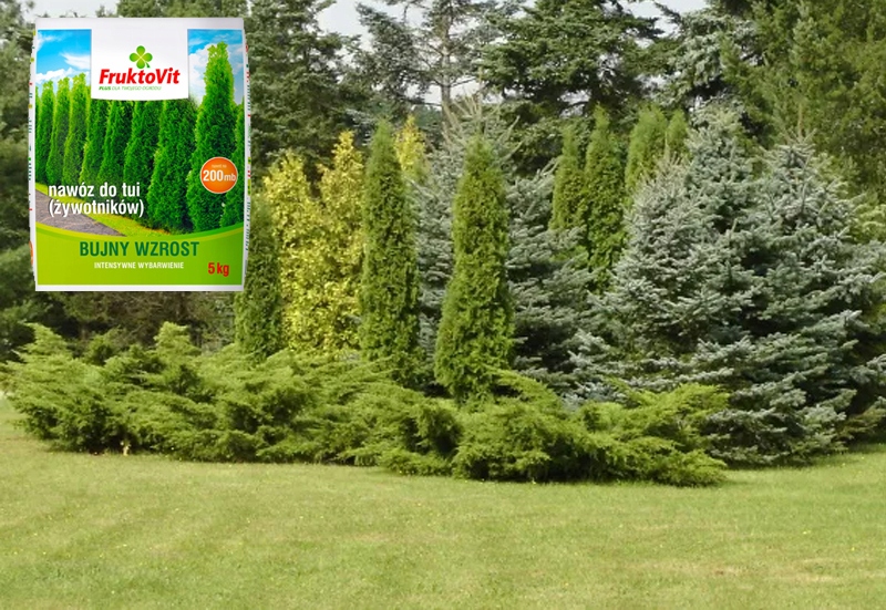 FRUKTOVIT PLUS NAWÓZ DO ŻYWOTNIKÓW TUI THUI 5KG Forma granulat