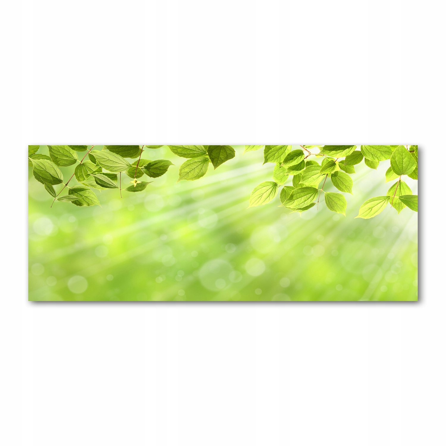 

Fotoobraz akryl nowoczesny na ścianę Liście 125x50