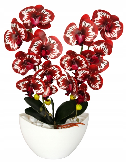 

Storczyk Sztuczny Storczyki Orchidea Kwiat Kwiaty