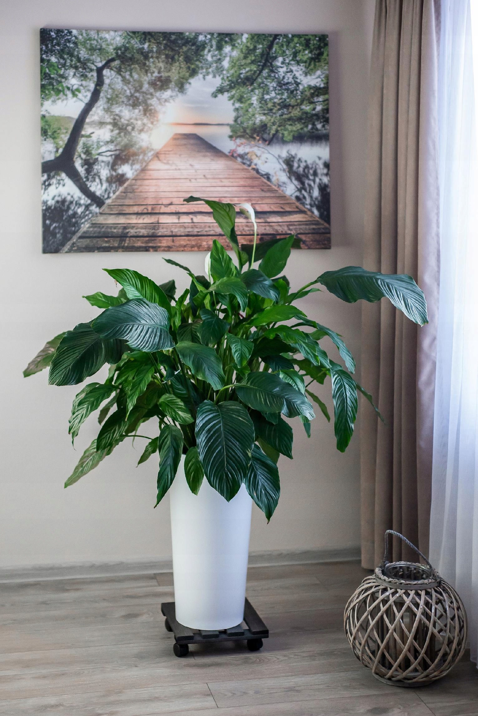 PODEST PODSTAWKA DREWNIANA POD KWIATEK DONICĘ DONICZKĘ NA KÓŁKACH SOLIDNA Marka inna