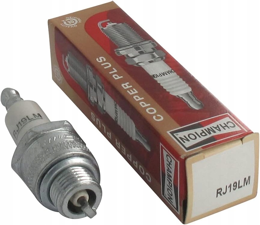 OLEJ DO KOSIARKI FILTR SWIECA BRIGGS STRATTON BS SAE30 0,6L 4 SUW RJ19LM Typ silnik