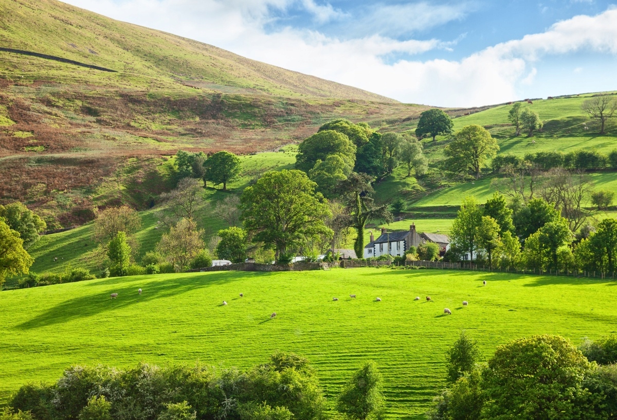 

Fototapeta Flizelinowa Wiosna Kumbria - 104x70