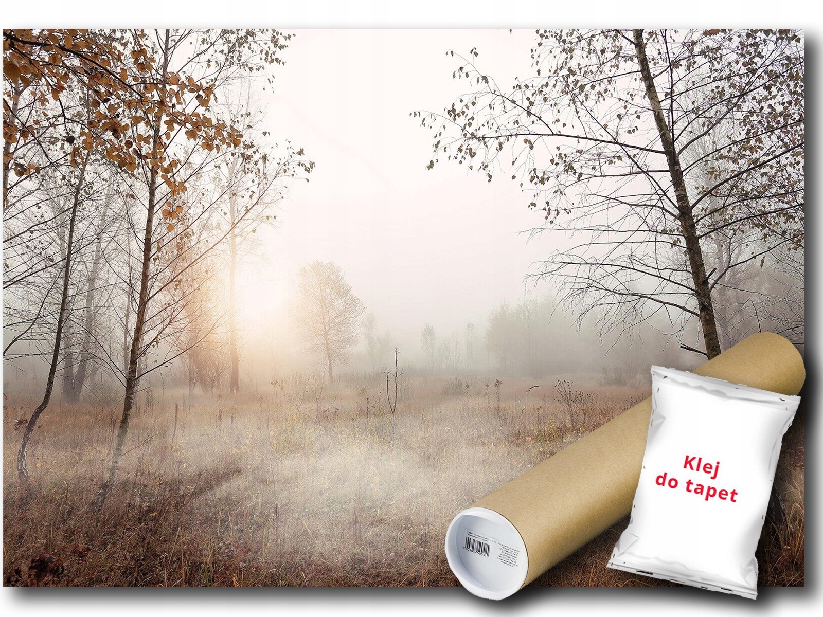 Vinylová Fototapeta Natura Hmla Ráno 208x146