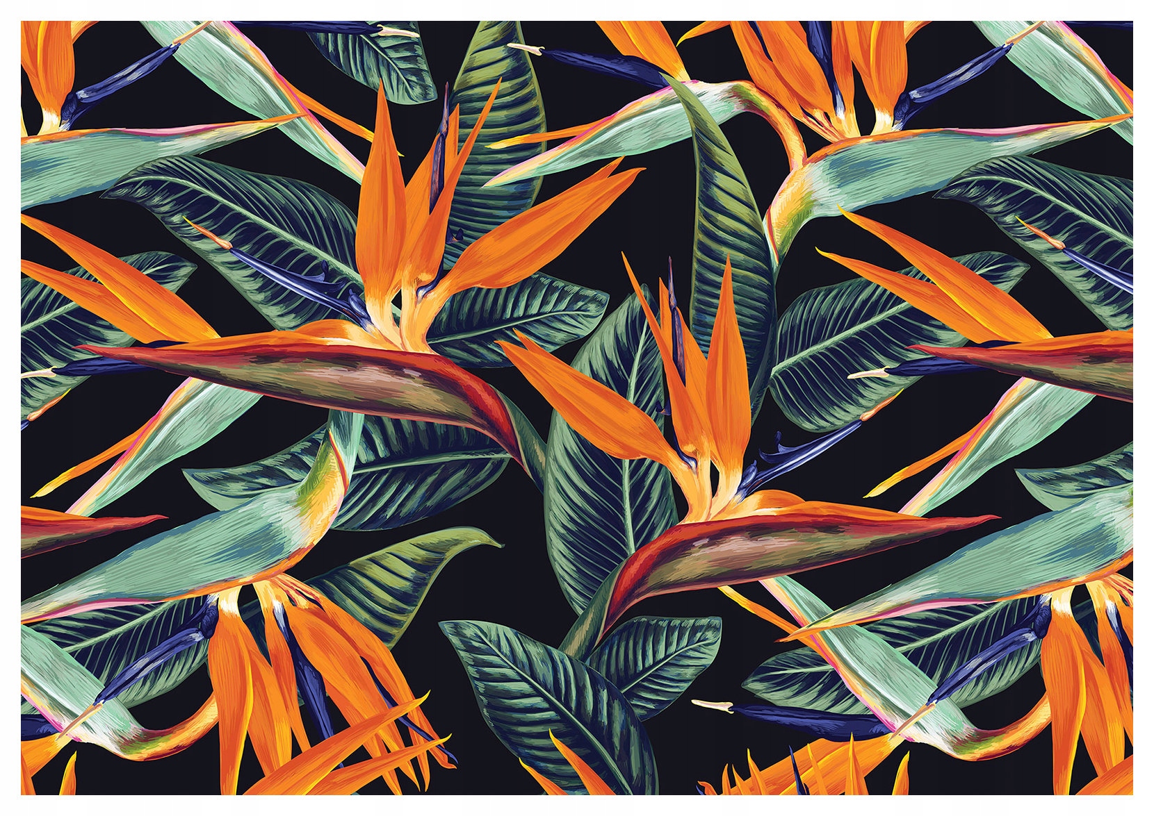 Fototapeta Strelicie rajský pták tropická vinylová 368x254 lepidlo