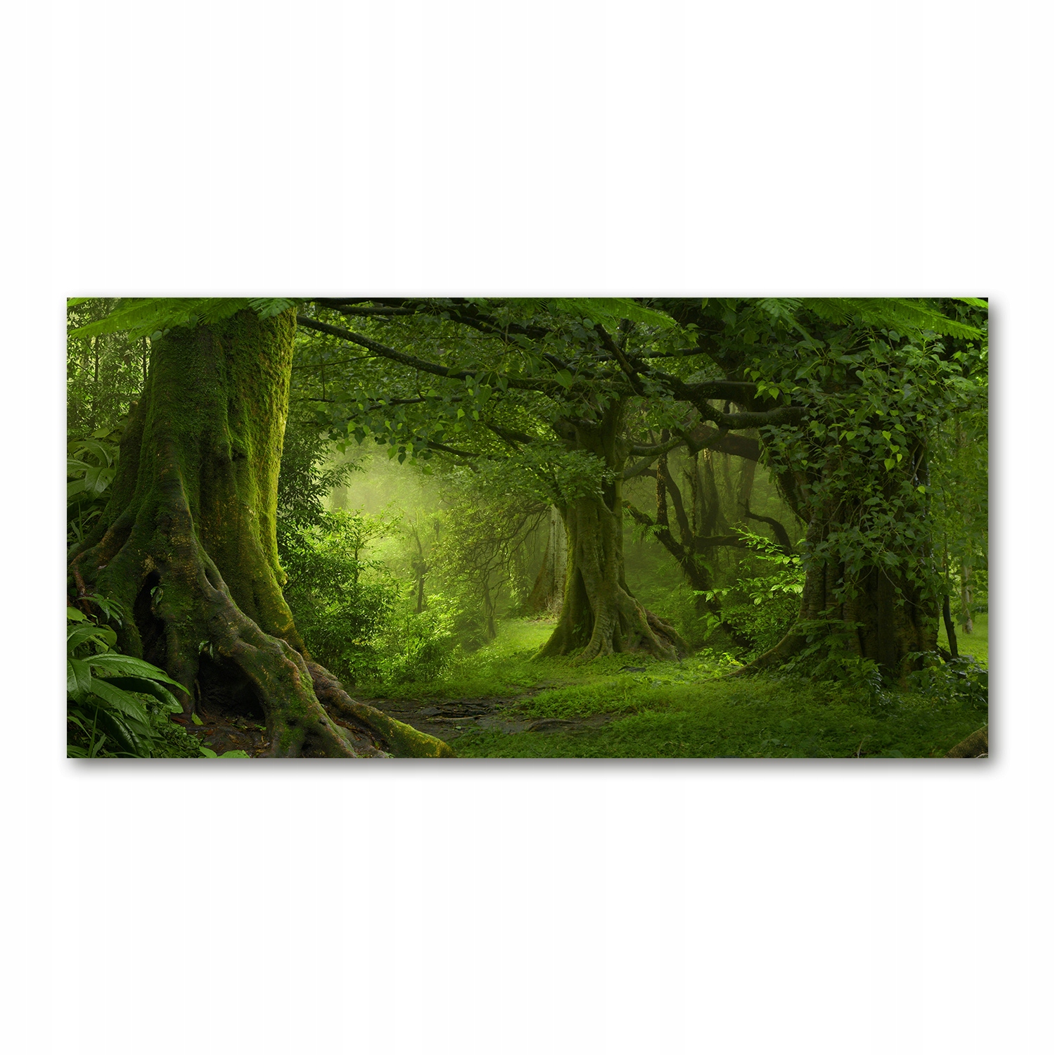 

Foto obraz szkło akryl Tropikalna dżungla 120X60cm