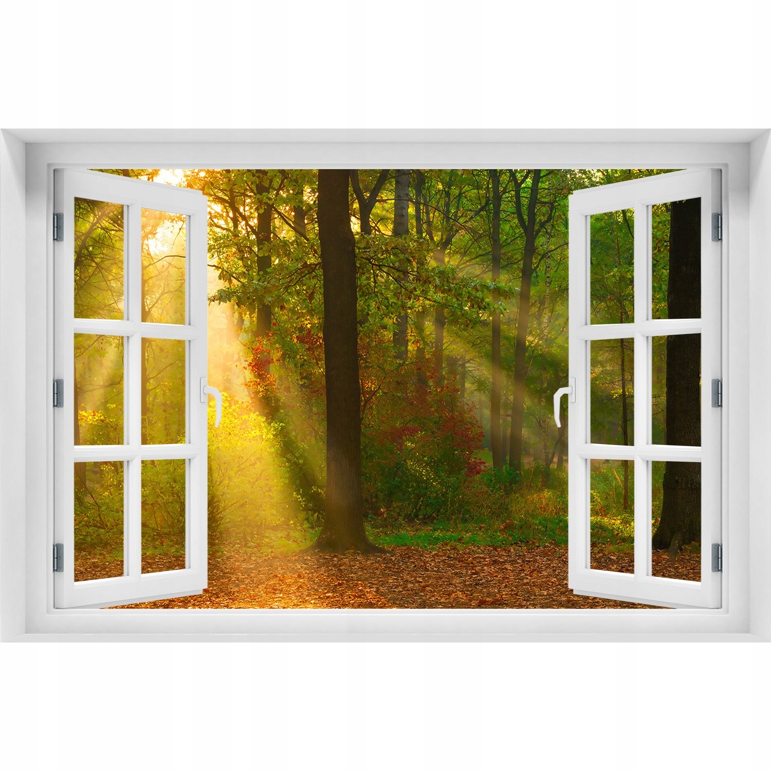 

Naklejka Fototapeta Okno widok Las w słońcu 120x80