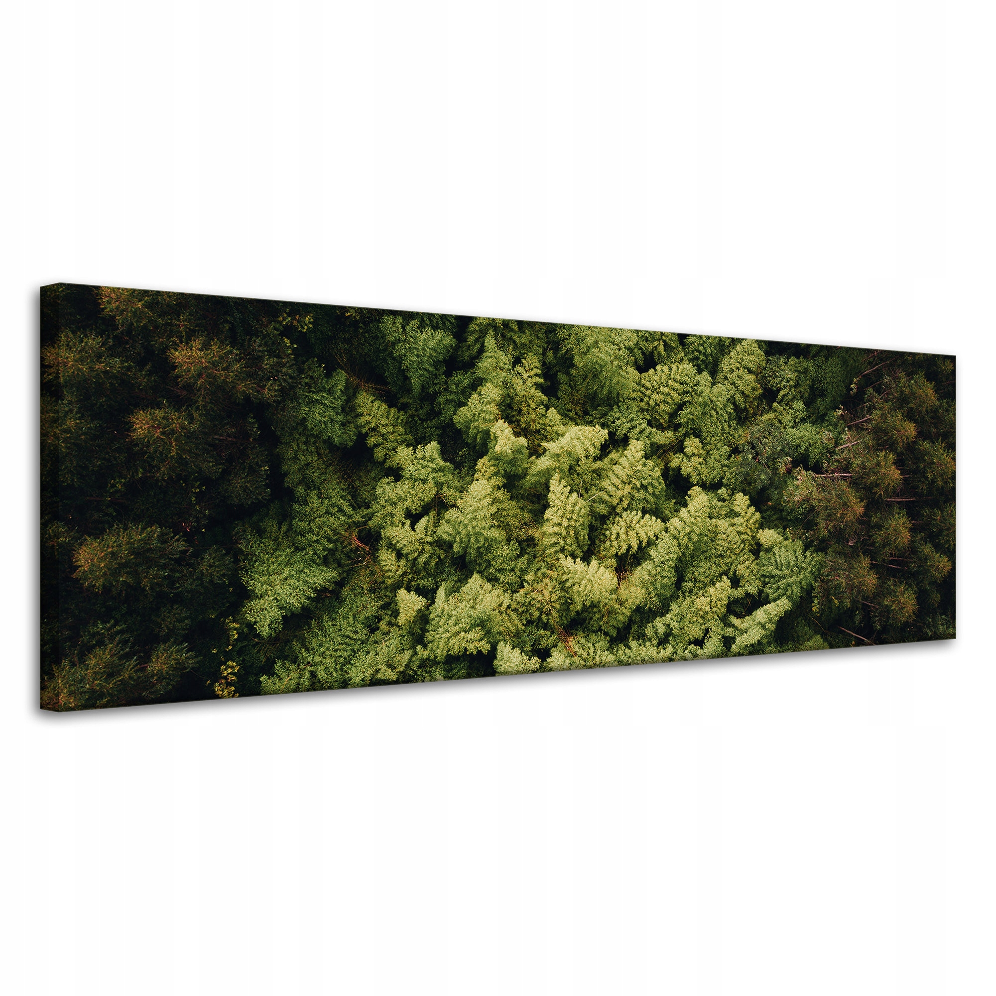 Obraz na plátně Příroda Stromy z ptačí perspektivy Letecké záběry lesa 120x40