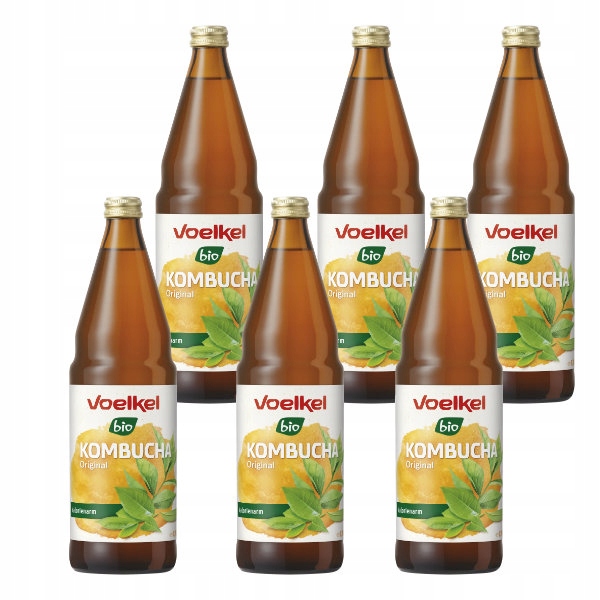 Levně 6x Kombucha sycený nápoj Bio 750 ml