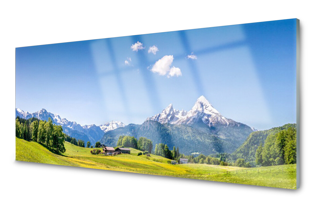 

Panel szklany do kuchni Pola Drzewa Góry 125x50