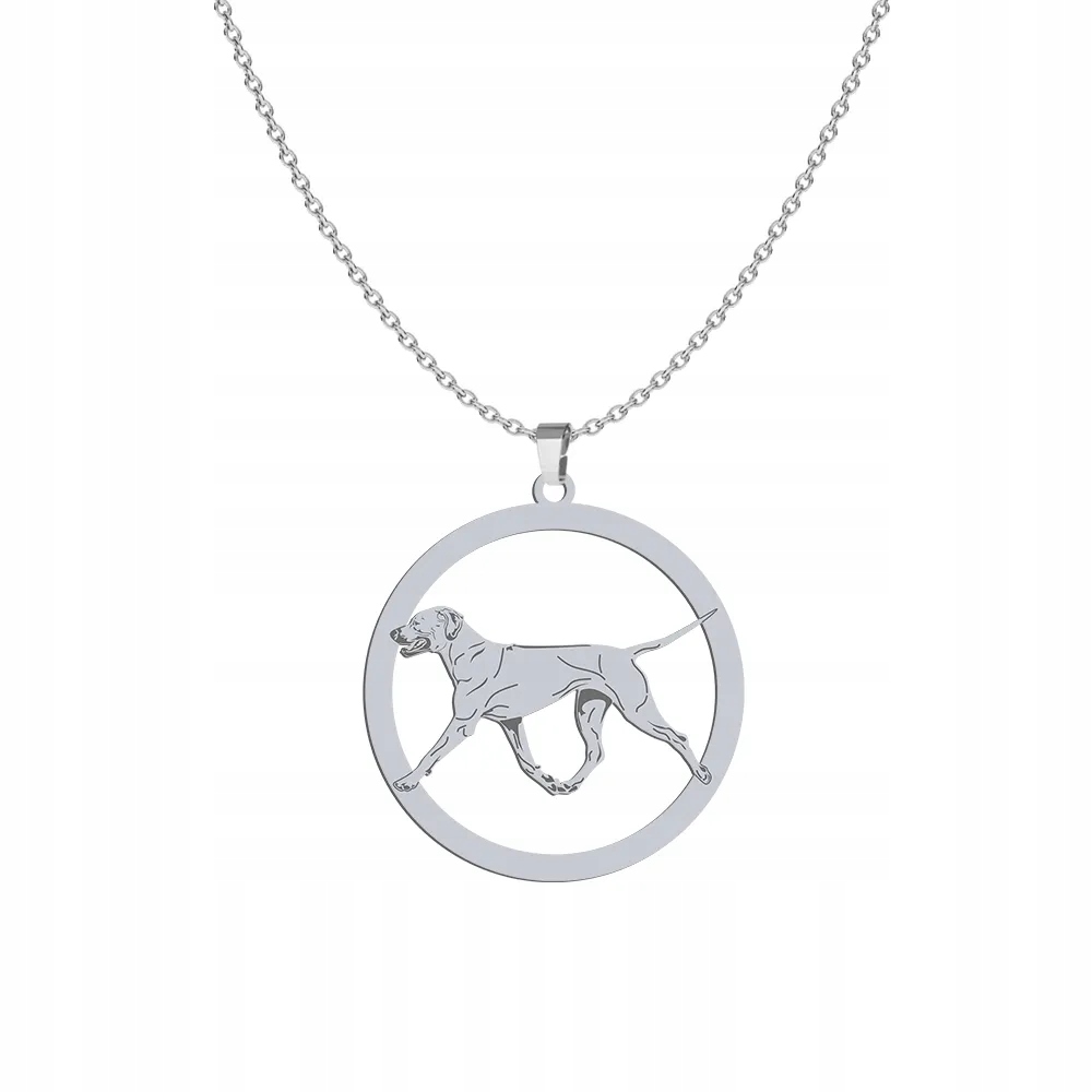 Stříbrný náhrdelník s rhodéským ridgebackem 925, bižuterie, Řetízek, Gravírování