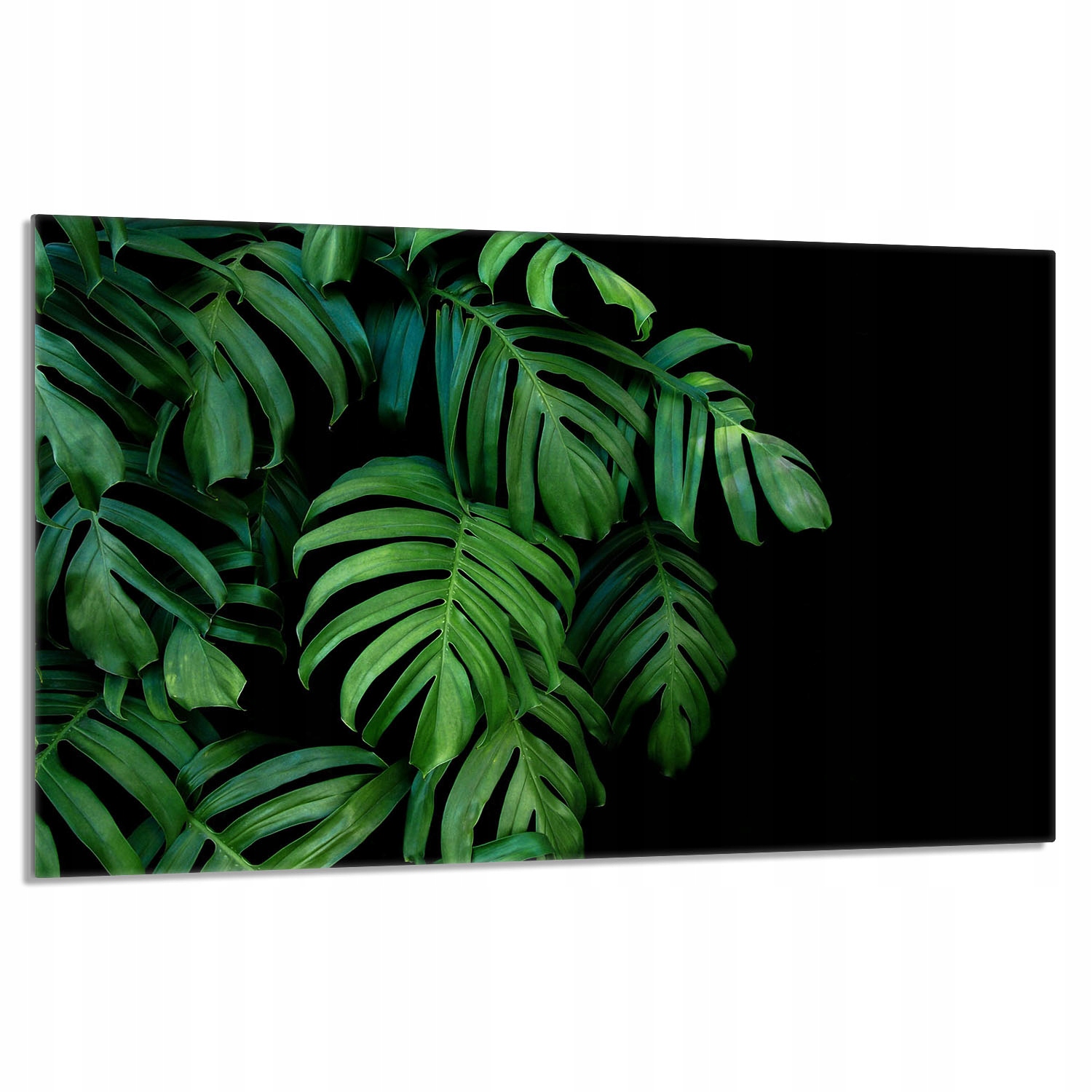 Skleněná ochranná deska na sporák 80x52 Monstera Do Kuchyně