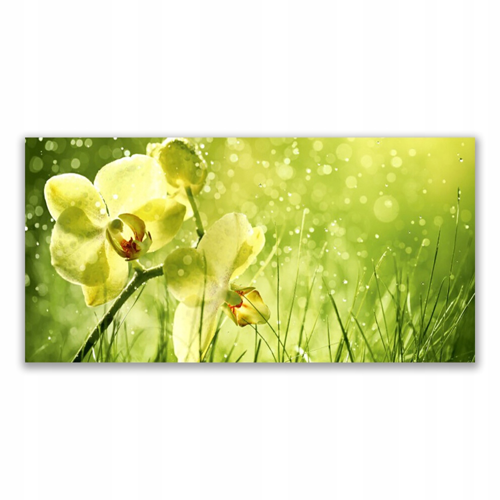 

Fotoobraz na prezent 120x60 Trawa Natura Roślina