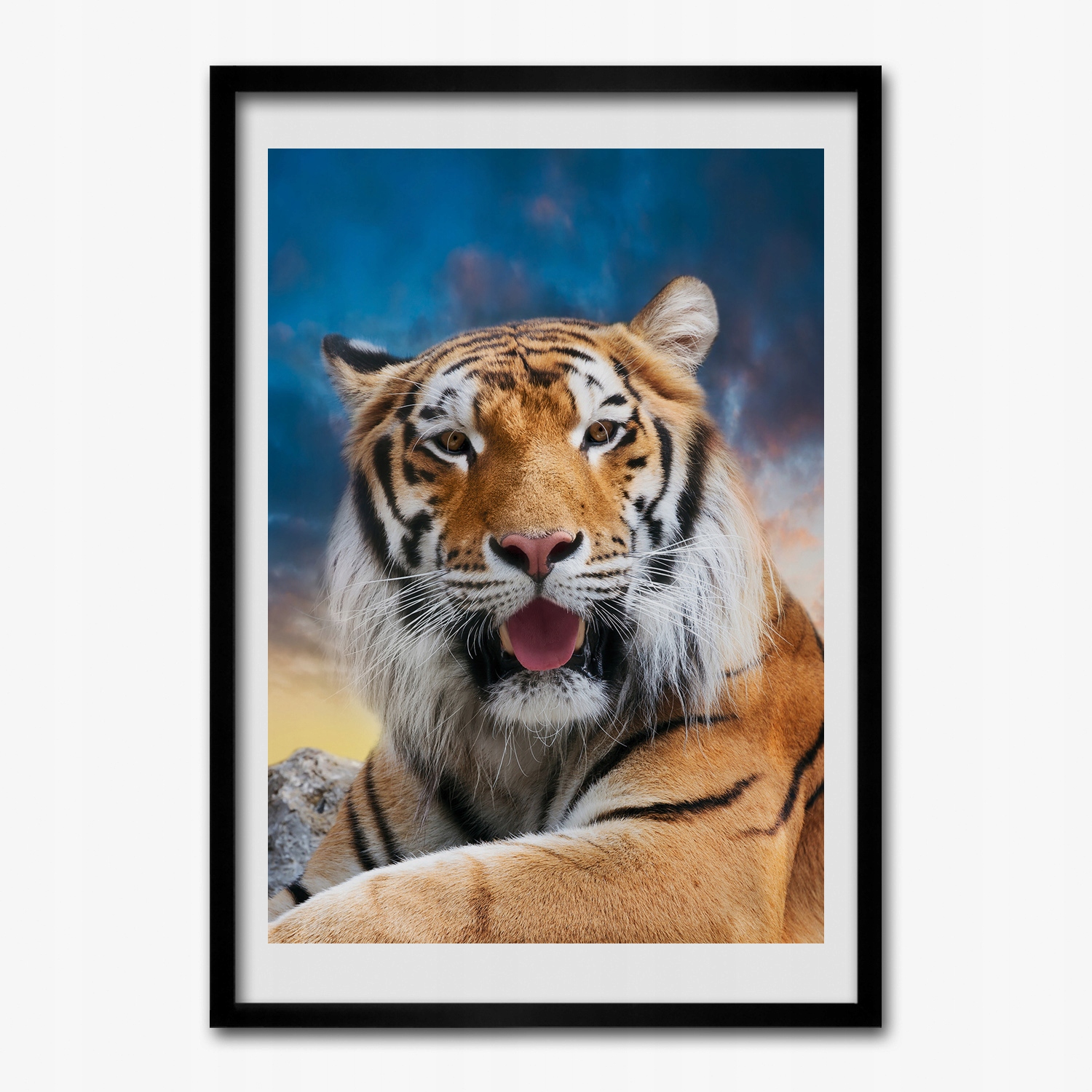 Obraz v rámu na zeď Tygr kočka skály 70x100 cm