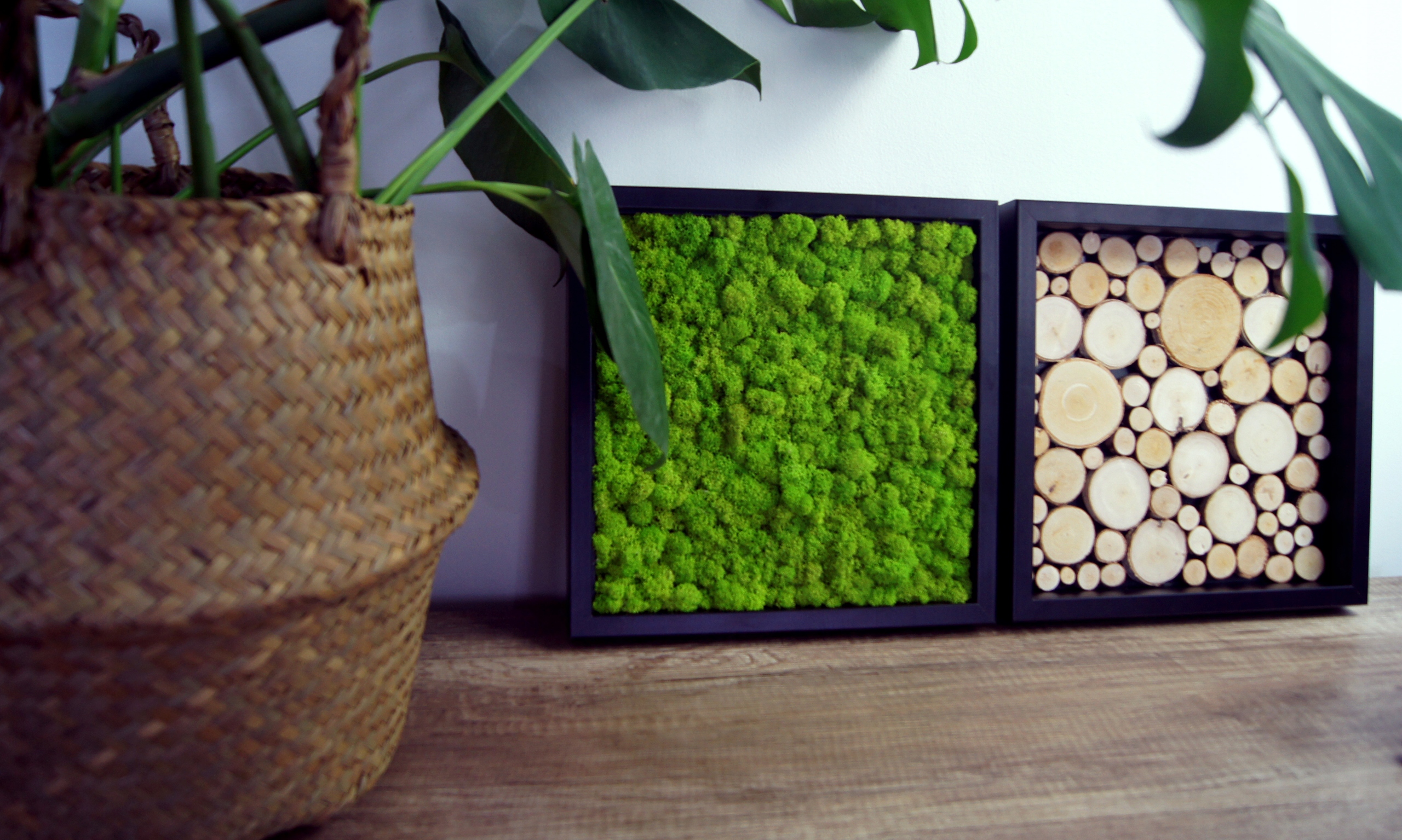 Obraz głęboka rama krążki drewno kolory 30x30cm Marka inna