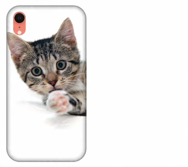 

Etui pokrowiec iPhone Xr Kot kotek smieszne zwierz