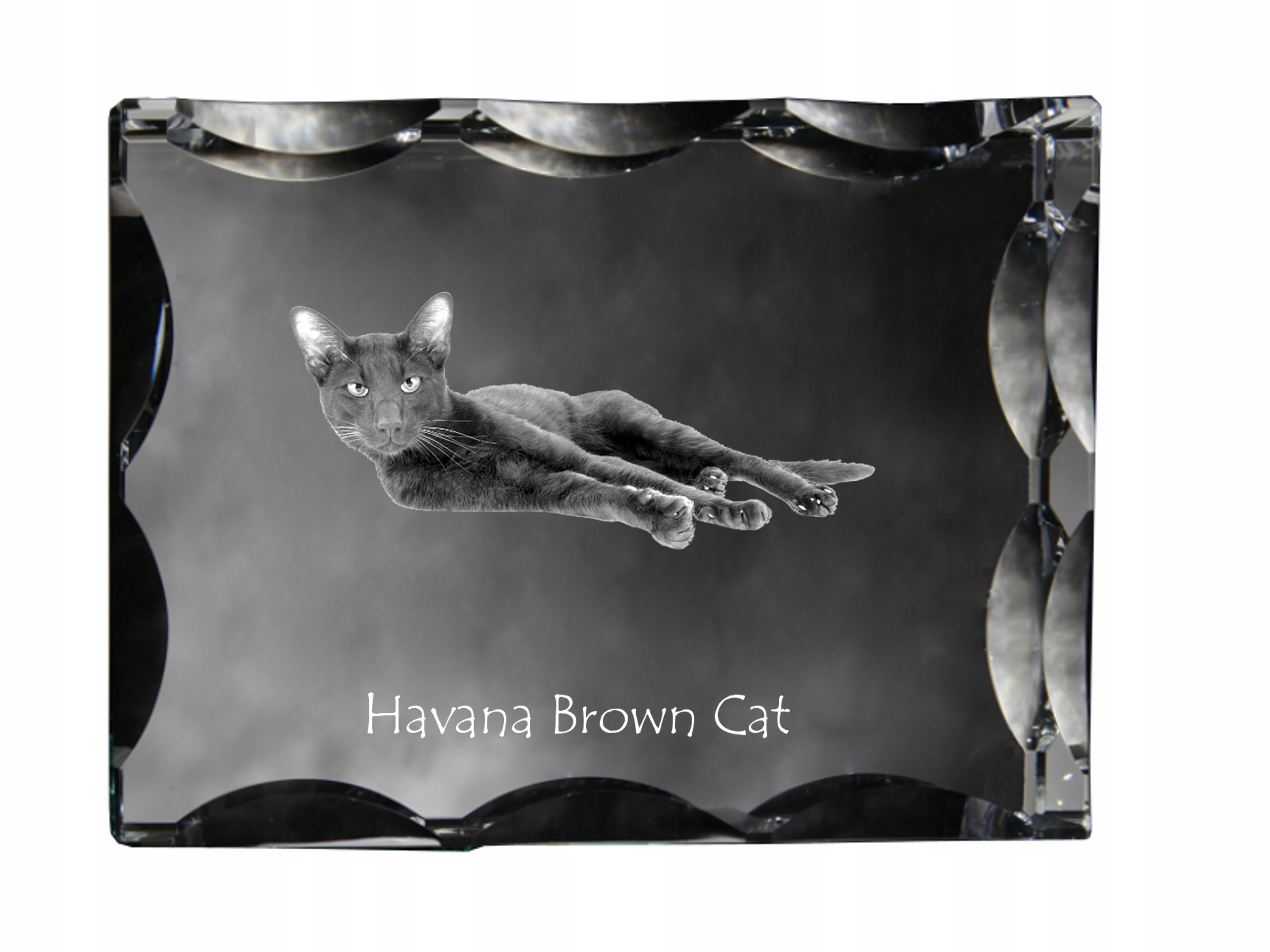 Mačka Havana Hnedá fotografia v ozdobnom kryštáli, suvenír, dekorácia domu