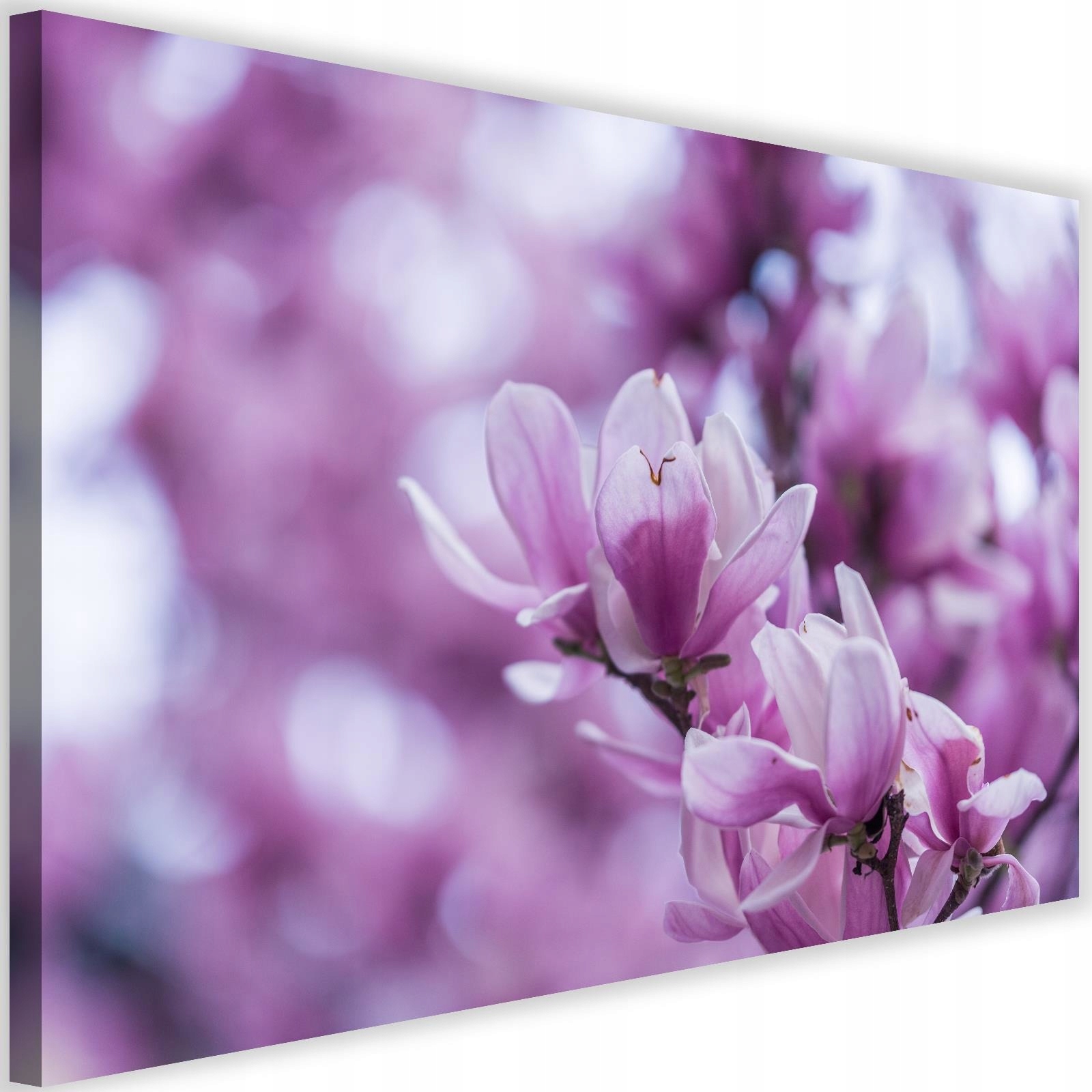 

Obraz Do Salonu Kwiat Magnolii Na Ścianę 120x80