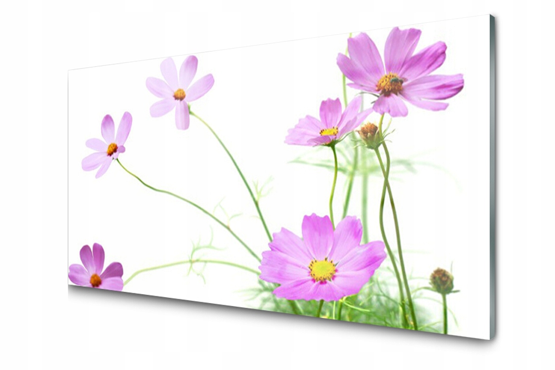 

Panel szklany dekor Kwiaty Roślina 120x60 + Klej