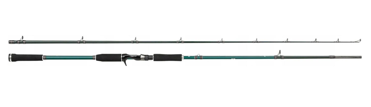 Wędka Abu Garcia Beast X Pike 792 H 50-90g Cast