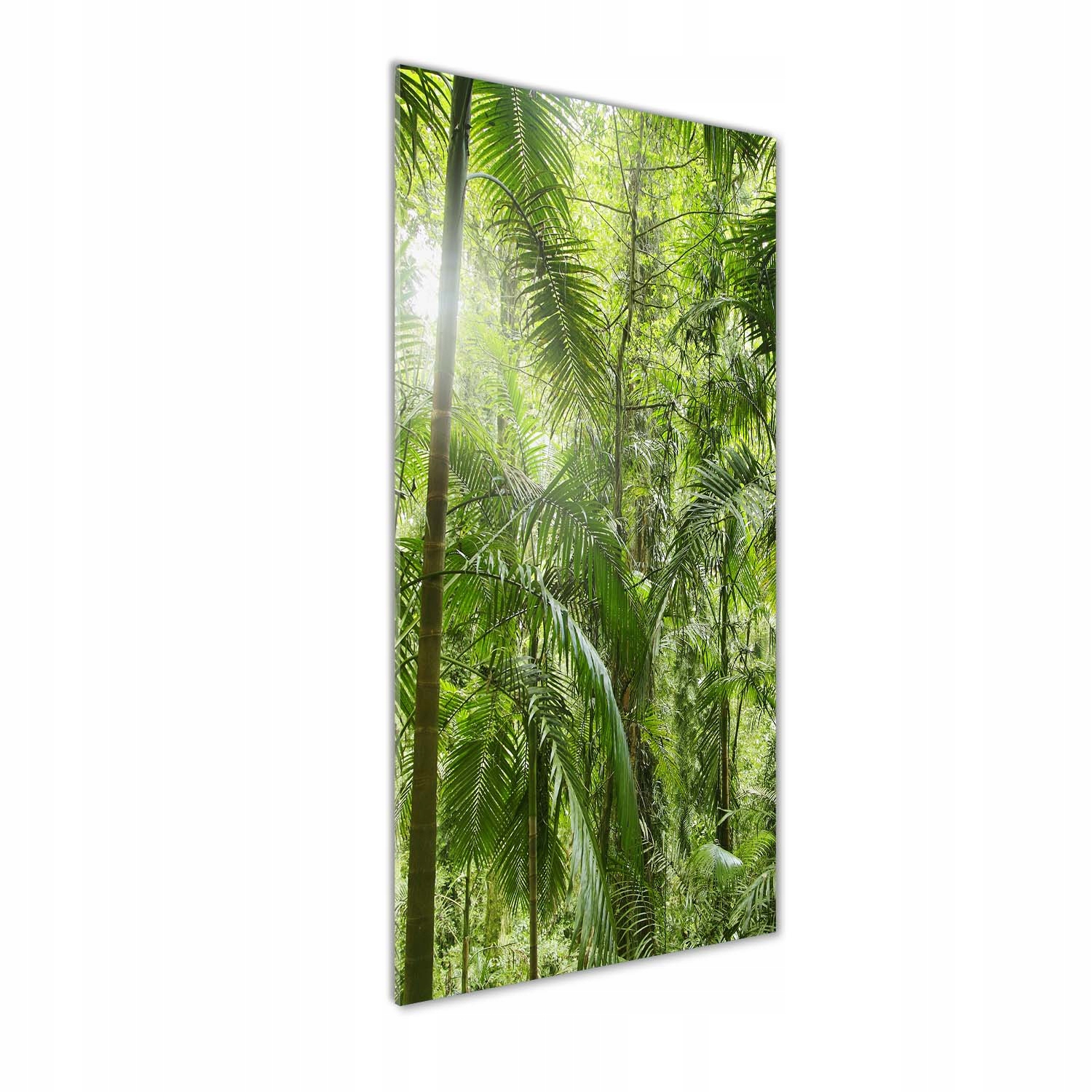 

Foto obraz szkło hartowane Las deszczowy 50x125 cm