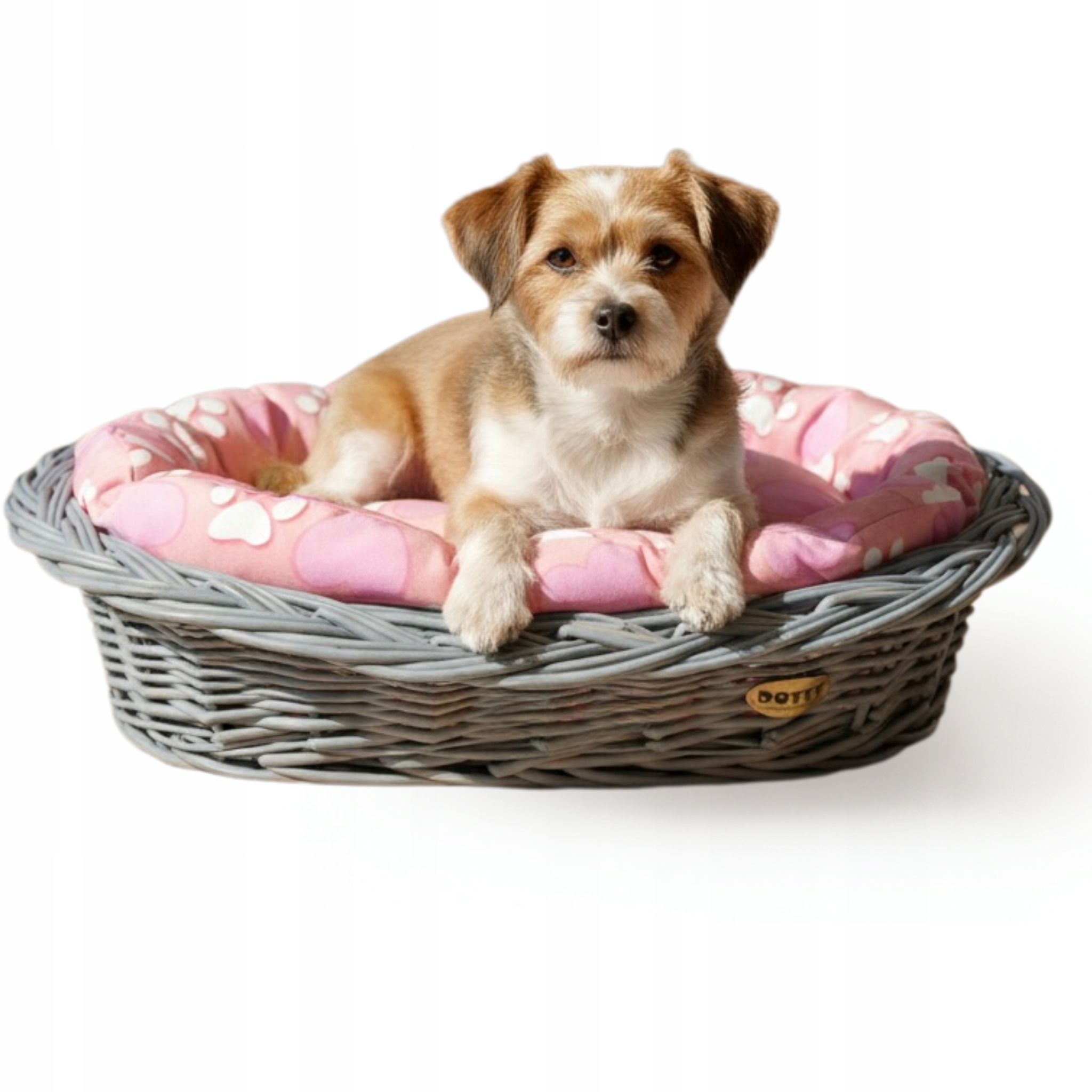 Levně Proutěný pelíšek pro psa kočku, šedý košík s pelíškem Dotty