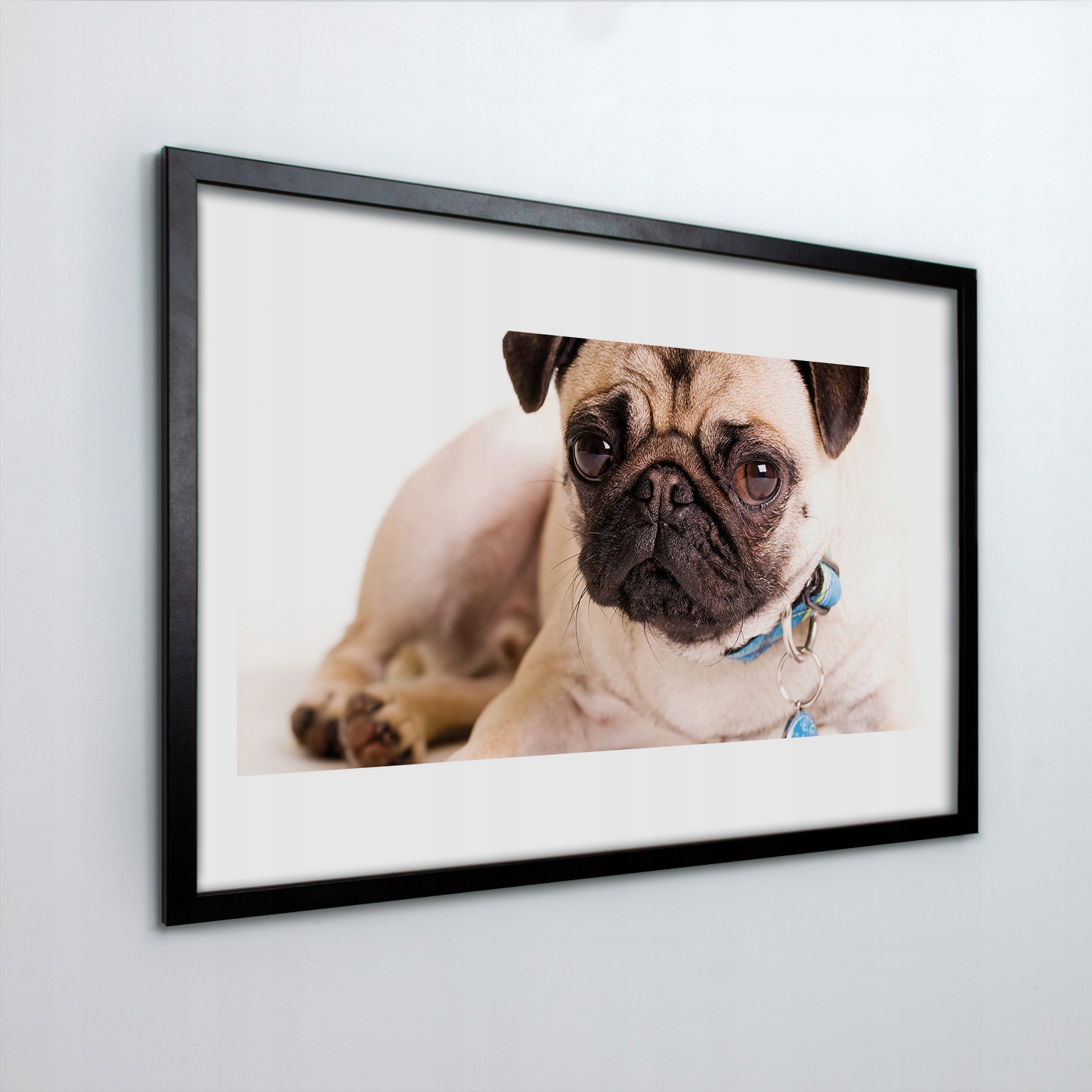 Fotoobraz v rámu na zeď Mops pes 30x20 cm