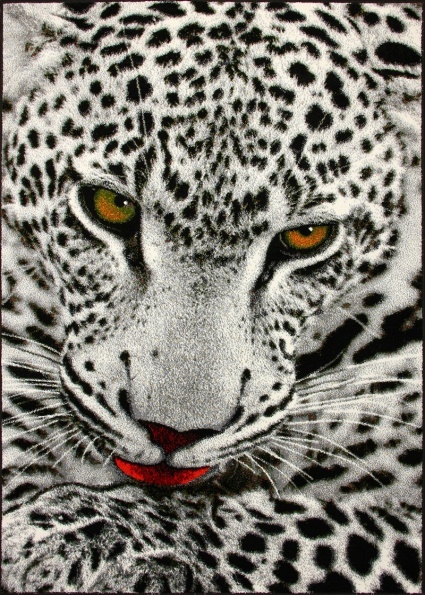 Koberec pro mládež s panterem Koloreo 120x170 Měkký koberec Módní