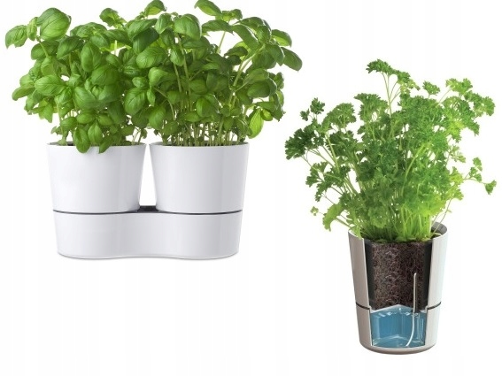 

Mepal Doniczka Zioła Samonawadniająca Podwójna