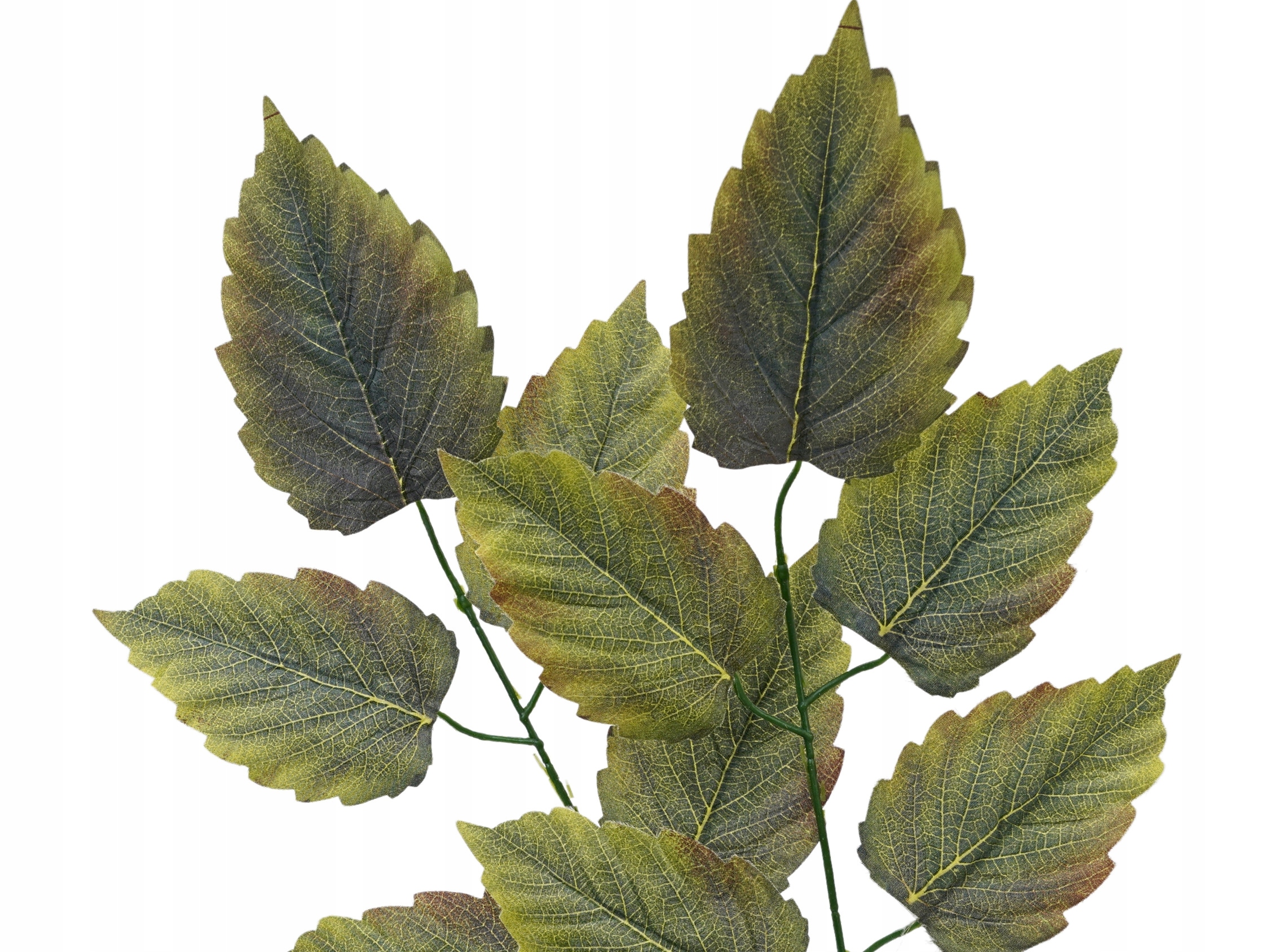 2x PIK MATOWE LIŚCIE DO BUKIETÓW STROIKÓW BRĄZOWE LIŚCIE LIPY ZESTAW 57 CM Typ inny