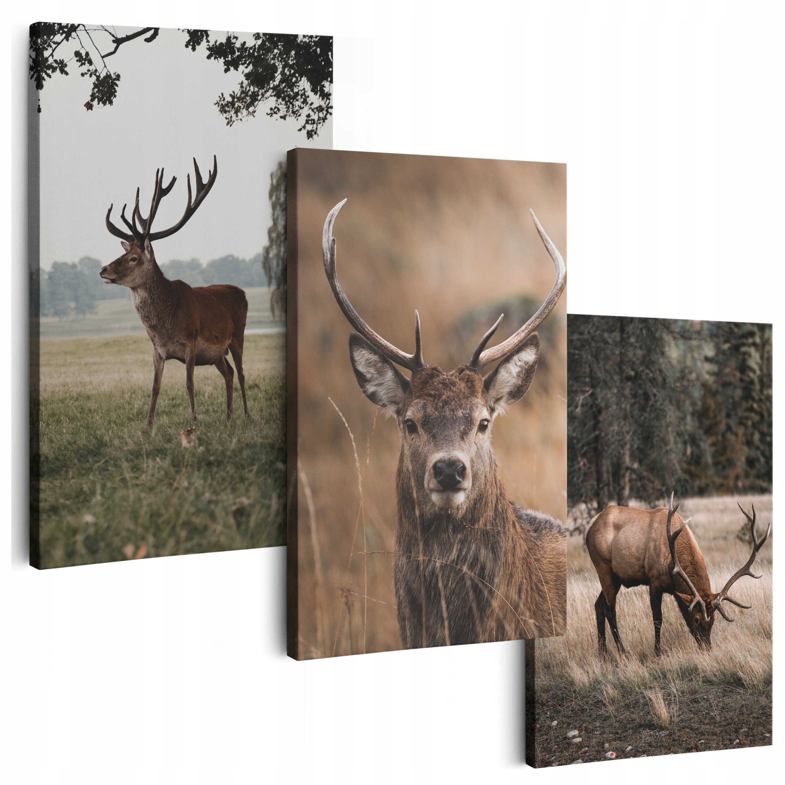 Obraz Na Plátne 180 cm *veľa vzorov* Obrazy Do Obývačky Na Stenu Jeleň