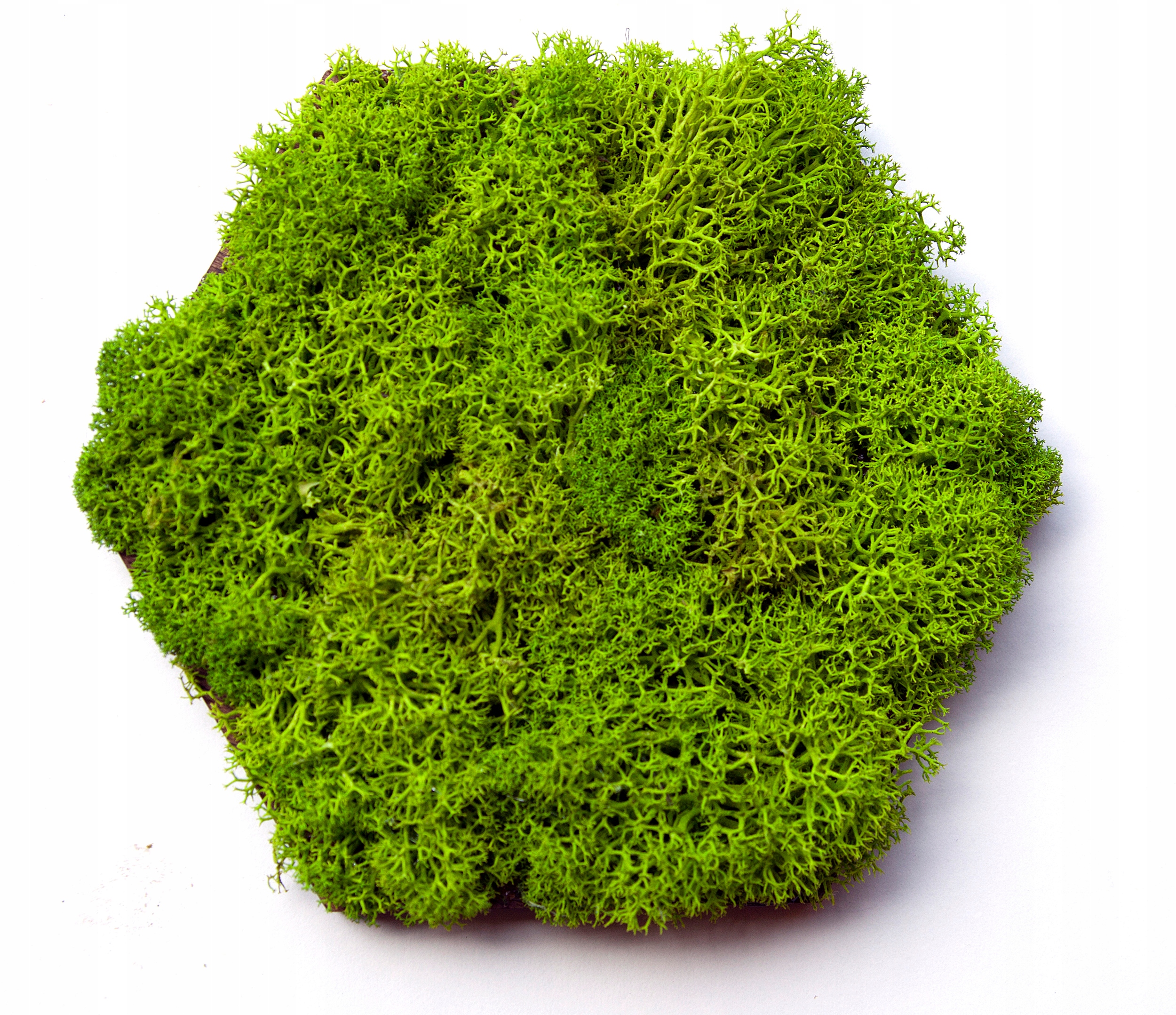 PANELE ŚCIENNE DREWNIANE MECH HEKSAGON NOWOŚĆ Materiał drewno