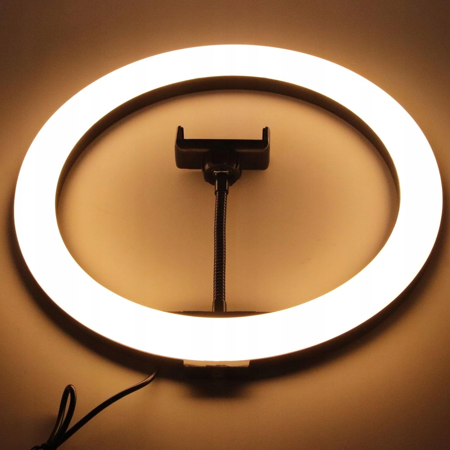 LED Circle Light ze Stojakiem, Regulowana jasność Live Streaming Marka bez marki