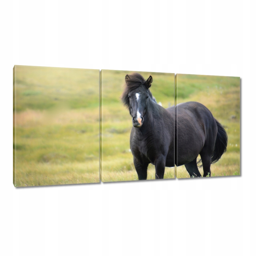 

Obrazy 120x60 Wiatr w nozdrza