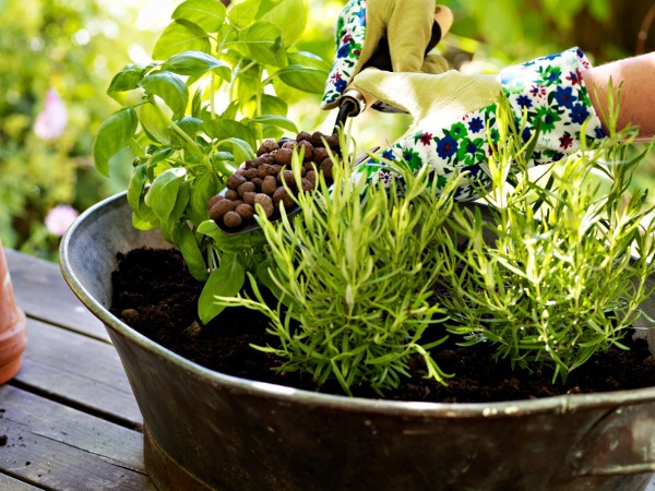 KERAMZYT NATURALNY SPULCHNIACZ DRENAŻ PODŁOŻE ZIEMIA HYDROPONIKA DLA ROŚLIN Kod producenta FERTILE KERAMZYT 5