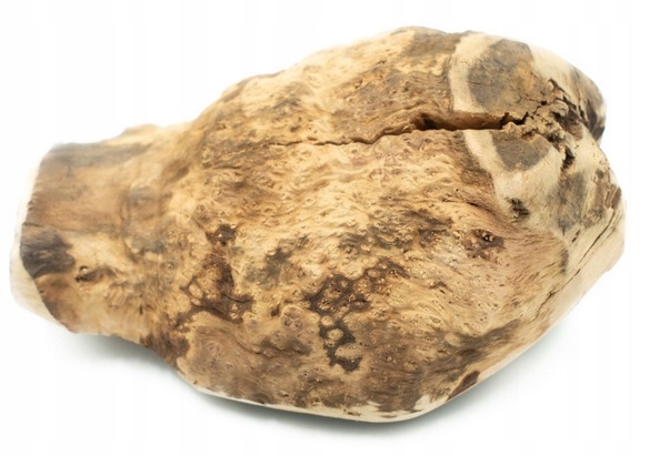 Levně Kousátko z kořene vřesu – přírodní hračka pro psy Velikost XL