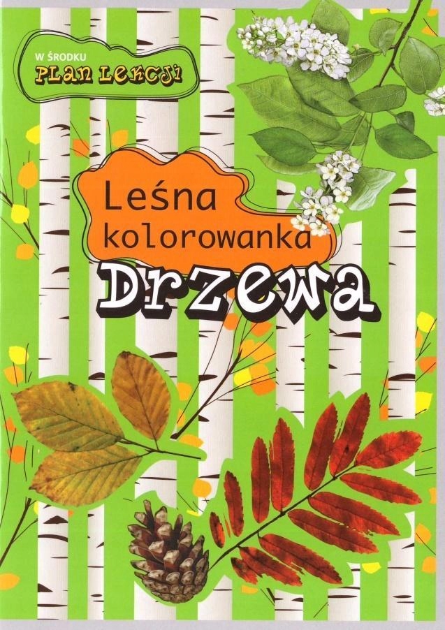 

Leśna kolorowanka. Drzewa Multico