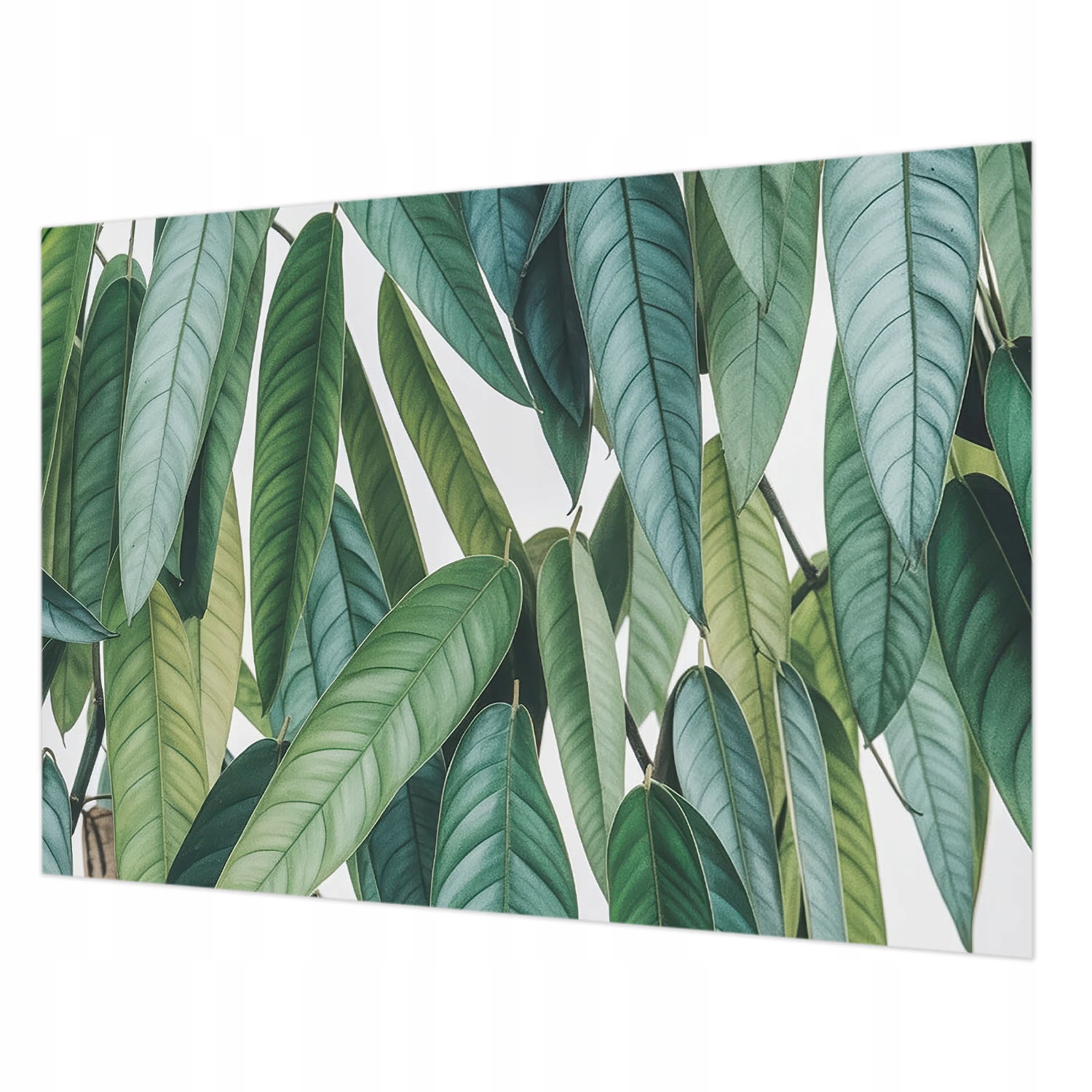 Designová fototapeta na zeď Flizelinová Přírodní listy 208 x 146 cm