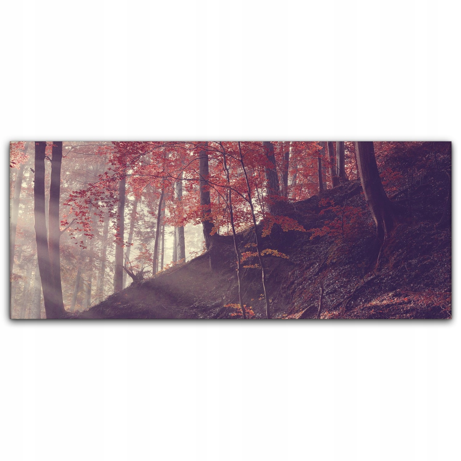 

Obraz na płótnie z foto 125x50 Las Wschód Słońca