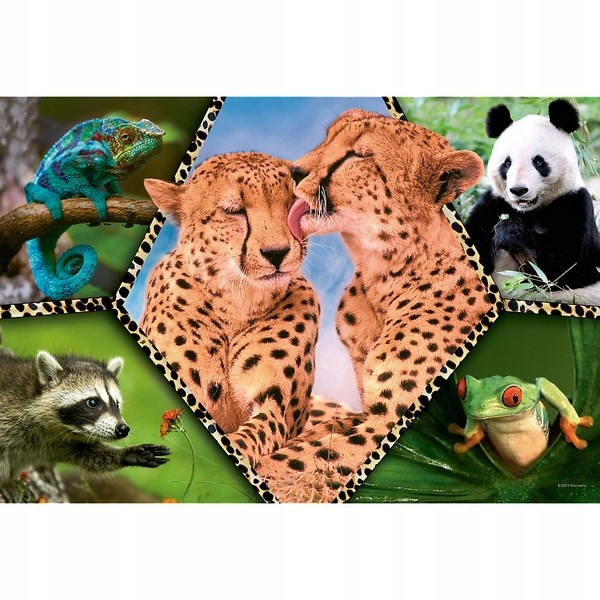 PUZZLE 100 PIĘKNO NATURY DISCOVERY ANIMAL PLANET Marka Trefl