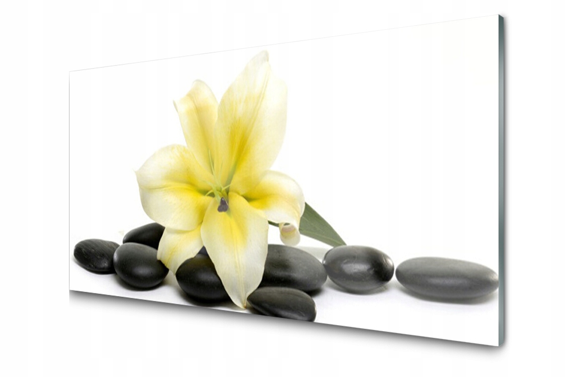 Dekoratívny sklenený panel Kvet Zen Spa 100x50