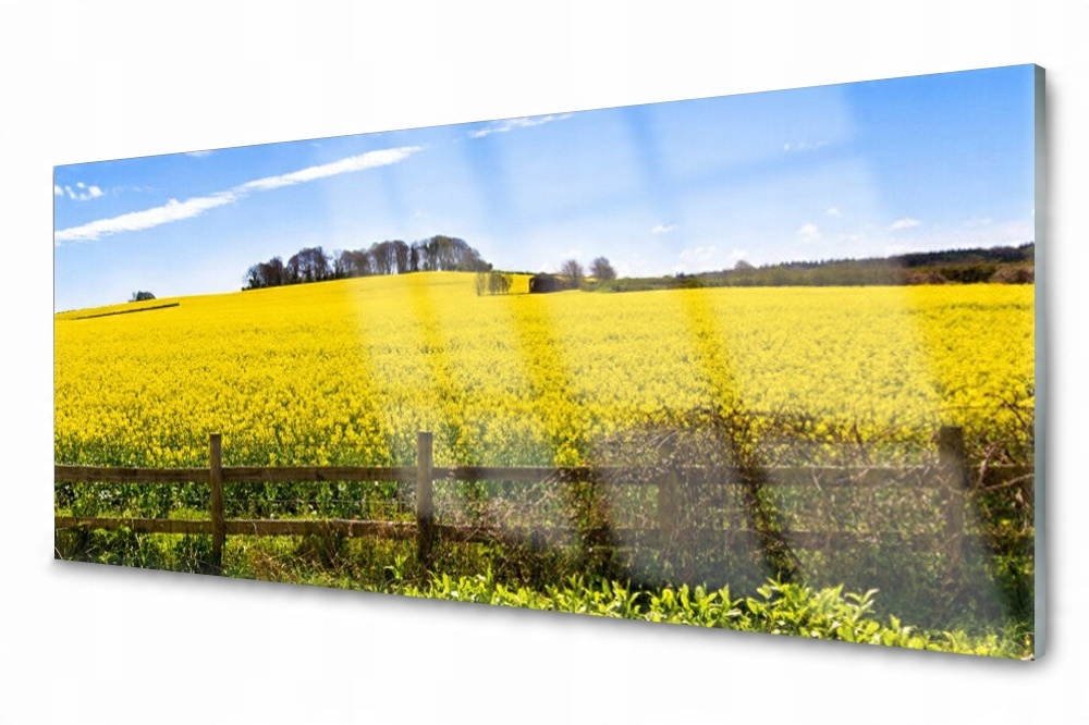 

Panel szklany do kuchni Pole Roślina 125x50