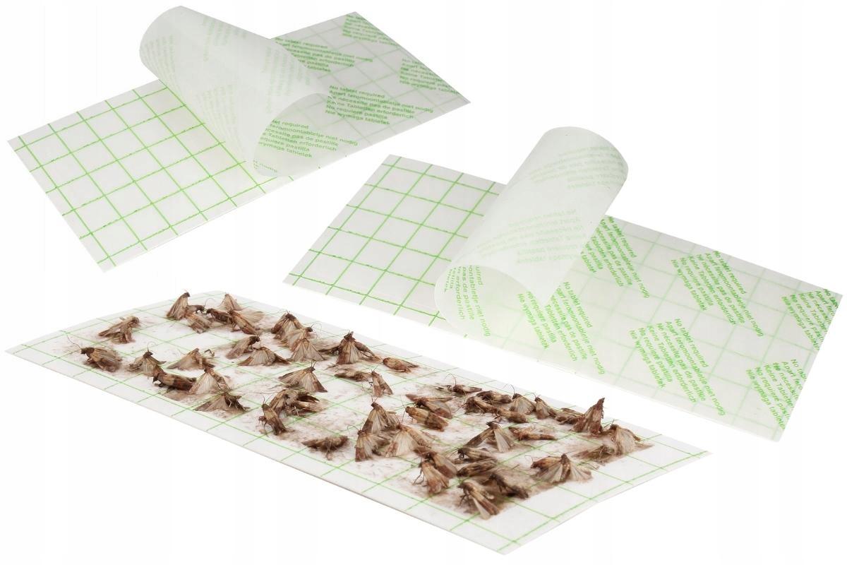 LEP PUŁAPKA NA MOLE UBRANIOWE ODZIEŻOWE SPOŻYWCZE FEROMONY WABIK 10 WKŁADÓW Producent Killgerm