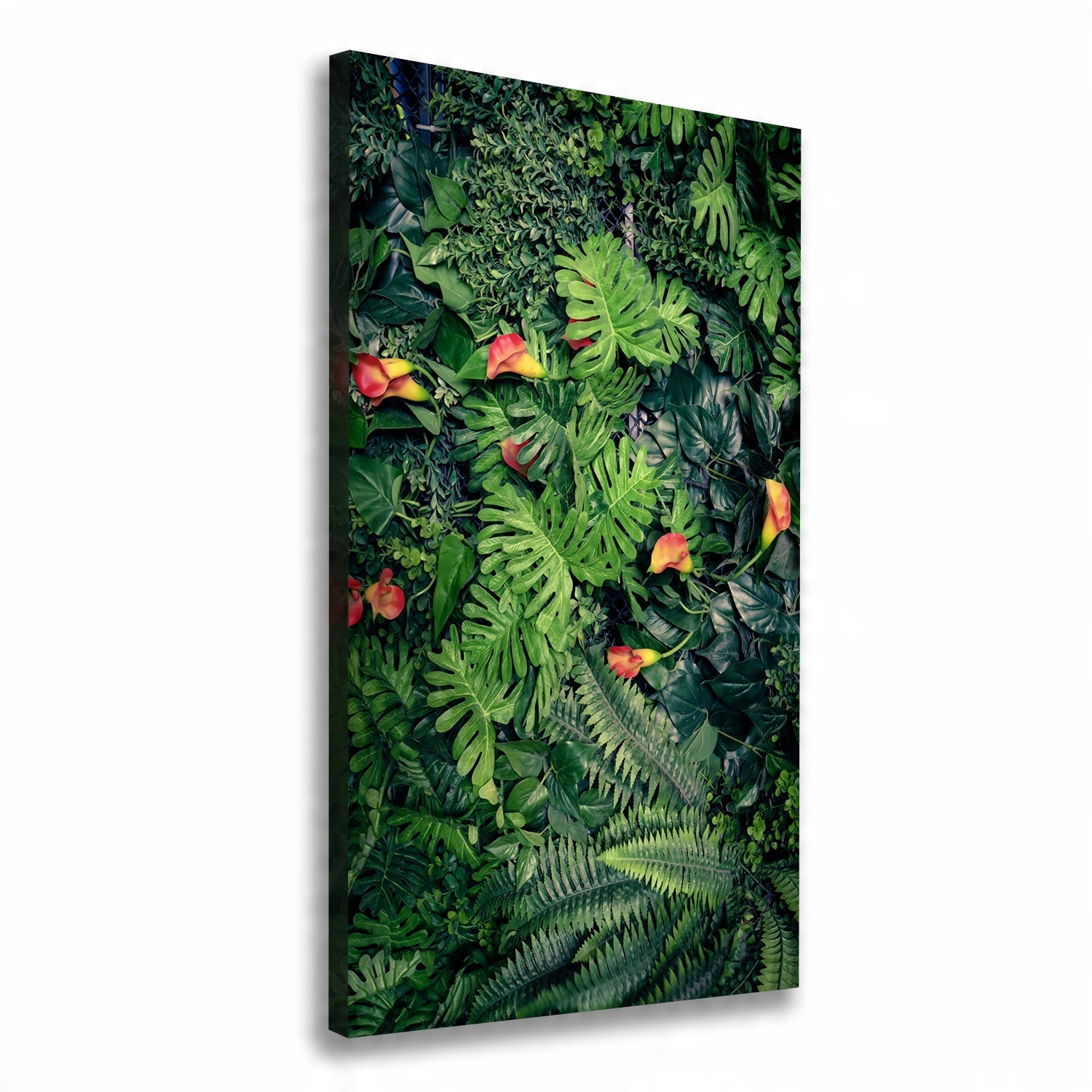 

Foto obraz na płótnie Tropikalne rośliny 50x100 cm